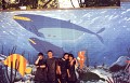 Avenir * <b>Peinture murale pour les murs extérieurs de l'Athénée Royale Serge Creuz</b></font><br />
et <a href='http://bonnevie.vgc.be/' title='la Maison de Quartier Bonnevie ASBL - Buurthuis Bonnevie VZW' target='_blank'><font color='#0000CC'>la Maison de Quartier Bonnevie ASBL - Buurthuis Bonnevie VZW</font></a><br />
rue de l'Avenir à 1080 Bruxelles.<br />
Projet et réalisation: Oreopoulos G., Vandegeerde D.  et les élèves de l'école.<br />
Juin - Août 1998.<br />
Superficie ±120 m².<br />
<img src='images/FlecheD1.gif' width='40' height='18'>
<font size='2'><a href='./../indexCreapartiC.html' '><b><font color='#0000CC'> VOIR D'AUTRES DETAILS</font></b></a></font><br /><br /> * 1700 x 1097 * (397KB)